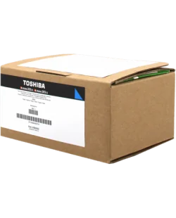 Toshiba T-FC305PC-R (6B000000747)