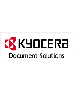 Kyocera WT-895 (302K093110)