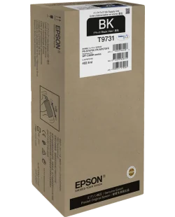 Epson T9731 (C13T973100)