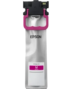 Epson (C13T01C300)