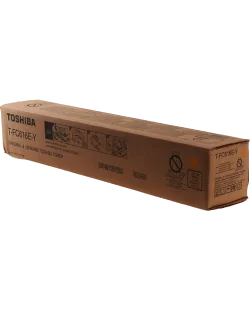 Toshiba T-FC616EY (6AK00000379)