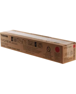 Toshiba T-FC210EM (6AJ00000165)