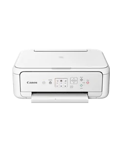 Canon PIXMA TS5151 (2226C037)