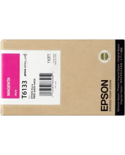 Epson T613300 (C13T613300)
