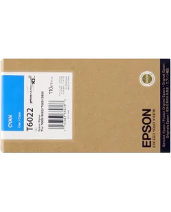 Epson T6022 (C13T602200)