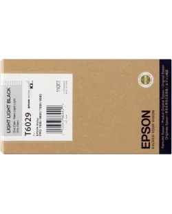 Epson T6029 (C13T602900)