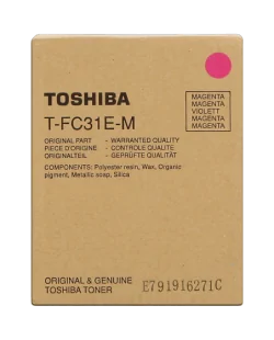 Toshiba PS-ZTFC31EM (66067041)