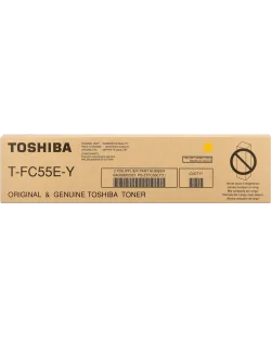 Toshiba T-FC55EY (6AK00000117)