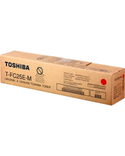 Toshiba T-FC25EM (6AJ00000078)