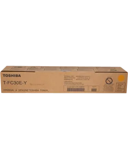 Toshiba T-FC30EY (6AG00004454)