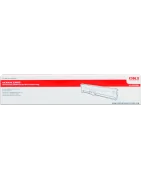 MICROLINE 6300